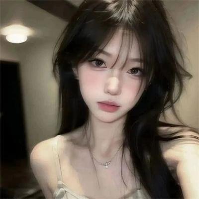 变钢锁